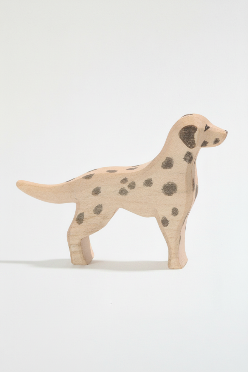 Dalmatian – studiobakgrunn