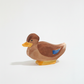 Duck sitting