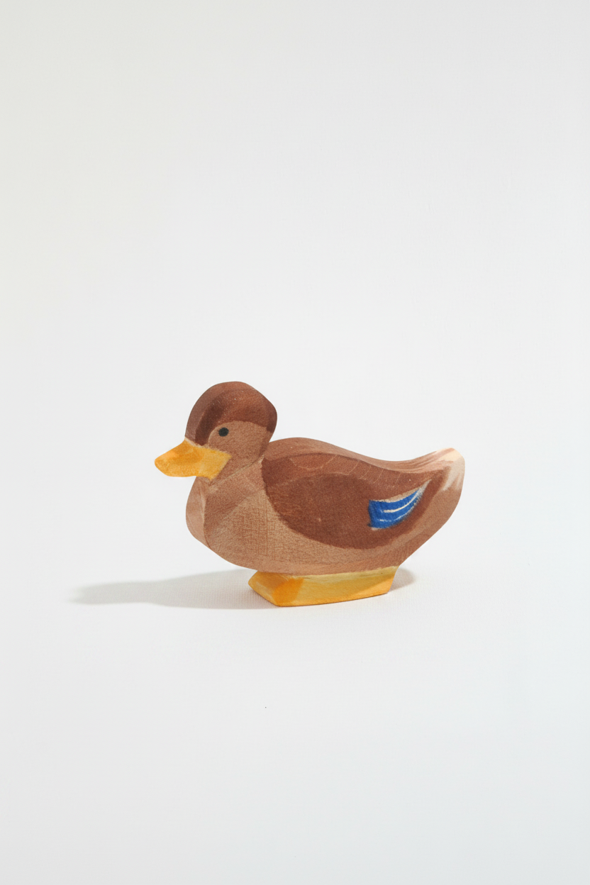 Duck sitting