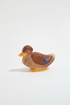 Duck sitting