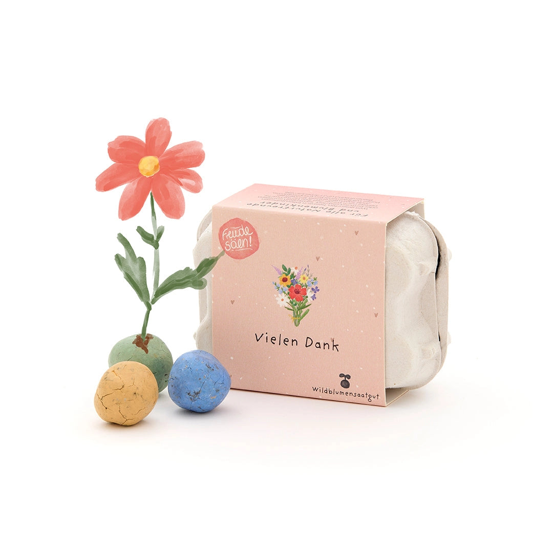 Blomsterkuler i eggkartong - 6 frøbomber