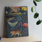 Animalium – Bli med inn i dyrenes verden - Jenny Broom og Katie Scott