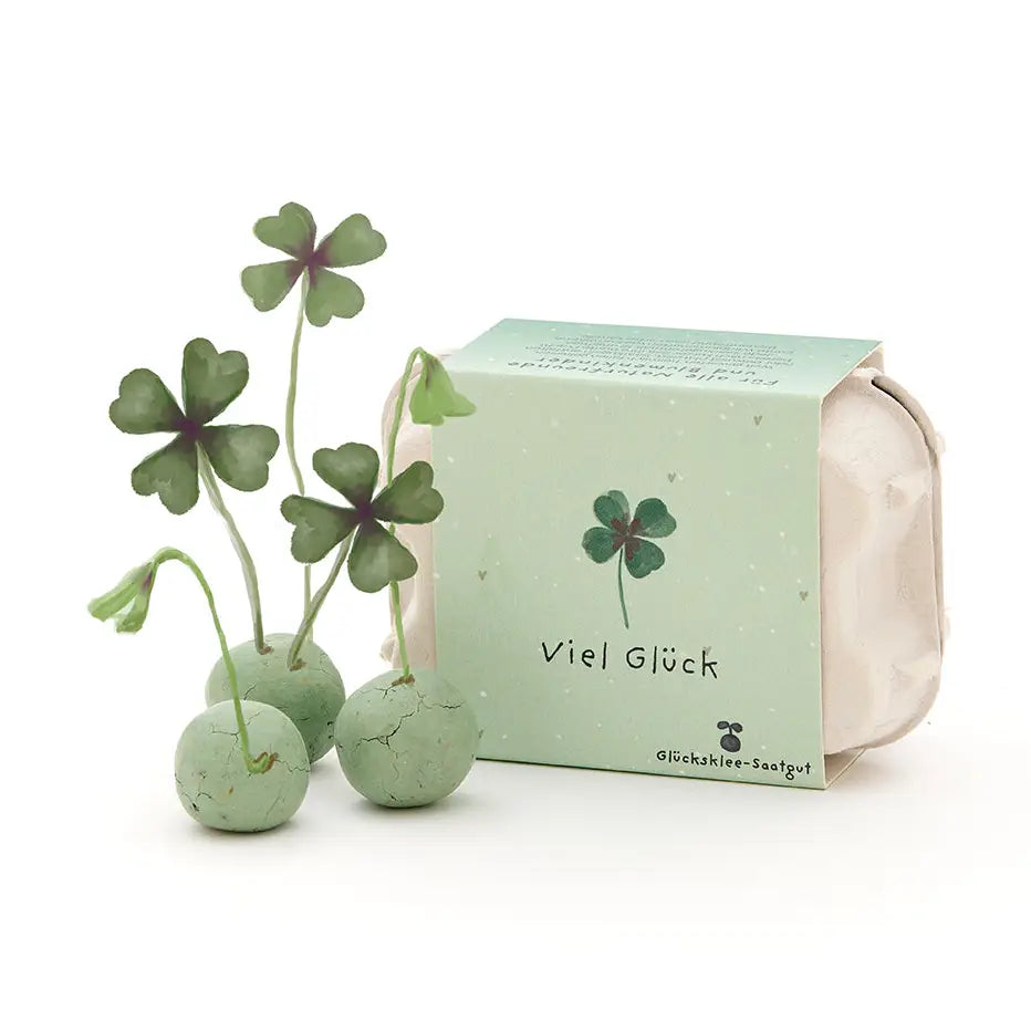 Blomsterkuler i eggkartong - 6 frøbomber