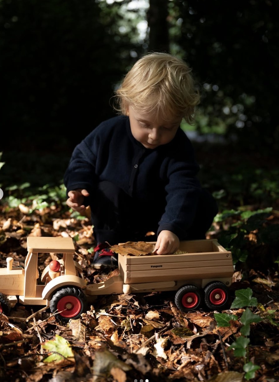 Barn fyller tilhengeren til Fagus klassisk traktor med løv i skogen