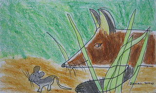 16 stk - Crayon Rocks i økologisk soyavoks