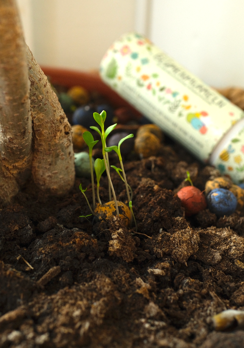Blomsterkuler - Stor Pakke med 100 frøbomber