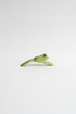 Frog jumping