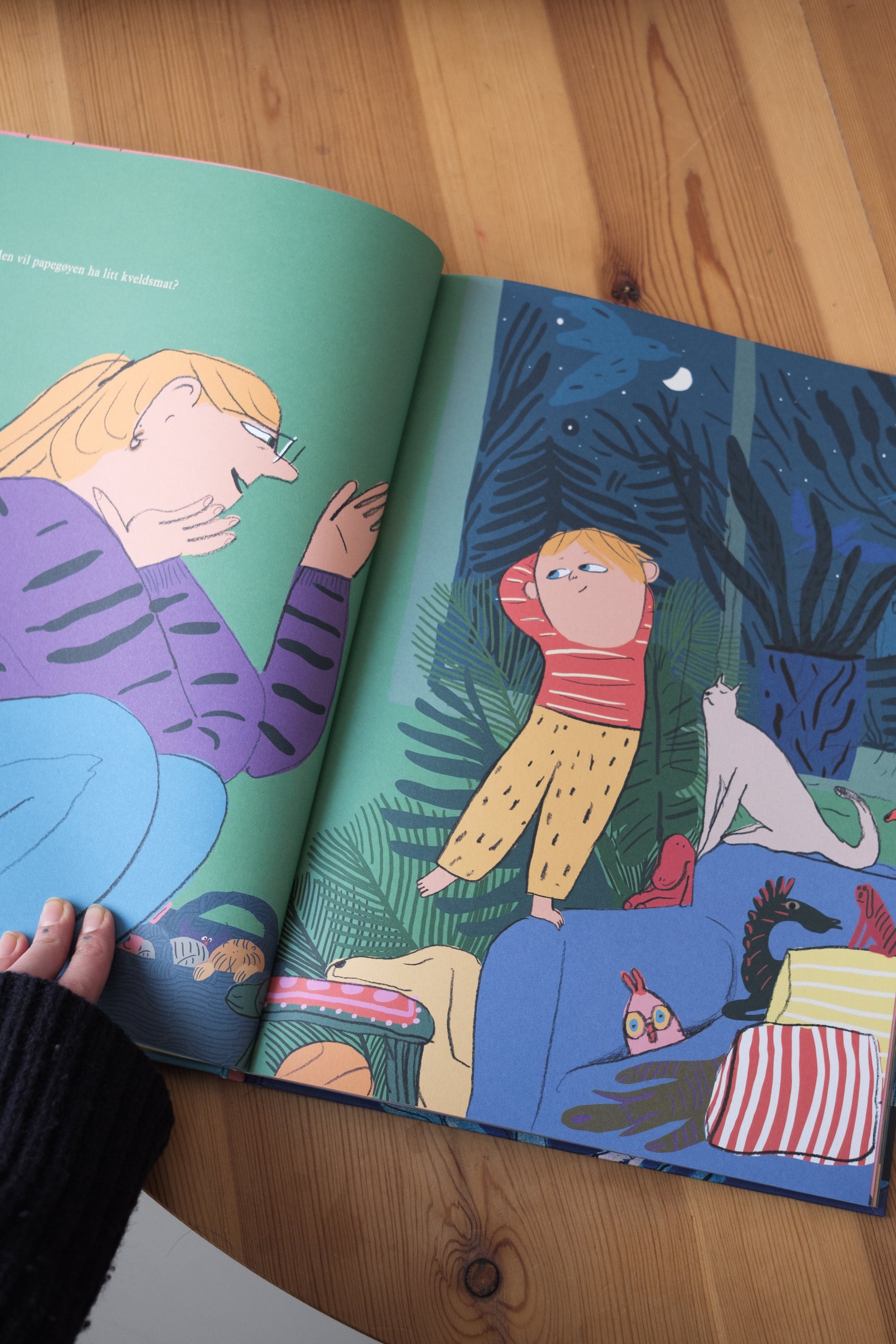 Dyrene sover - Kjersti Annesdatter Skomsvold & Mari Kanstad Johnsen