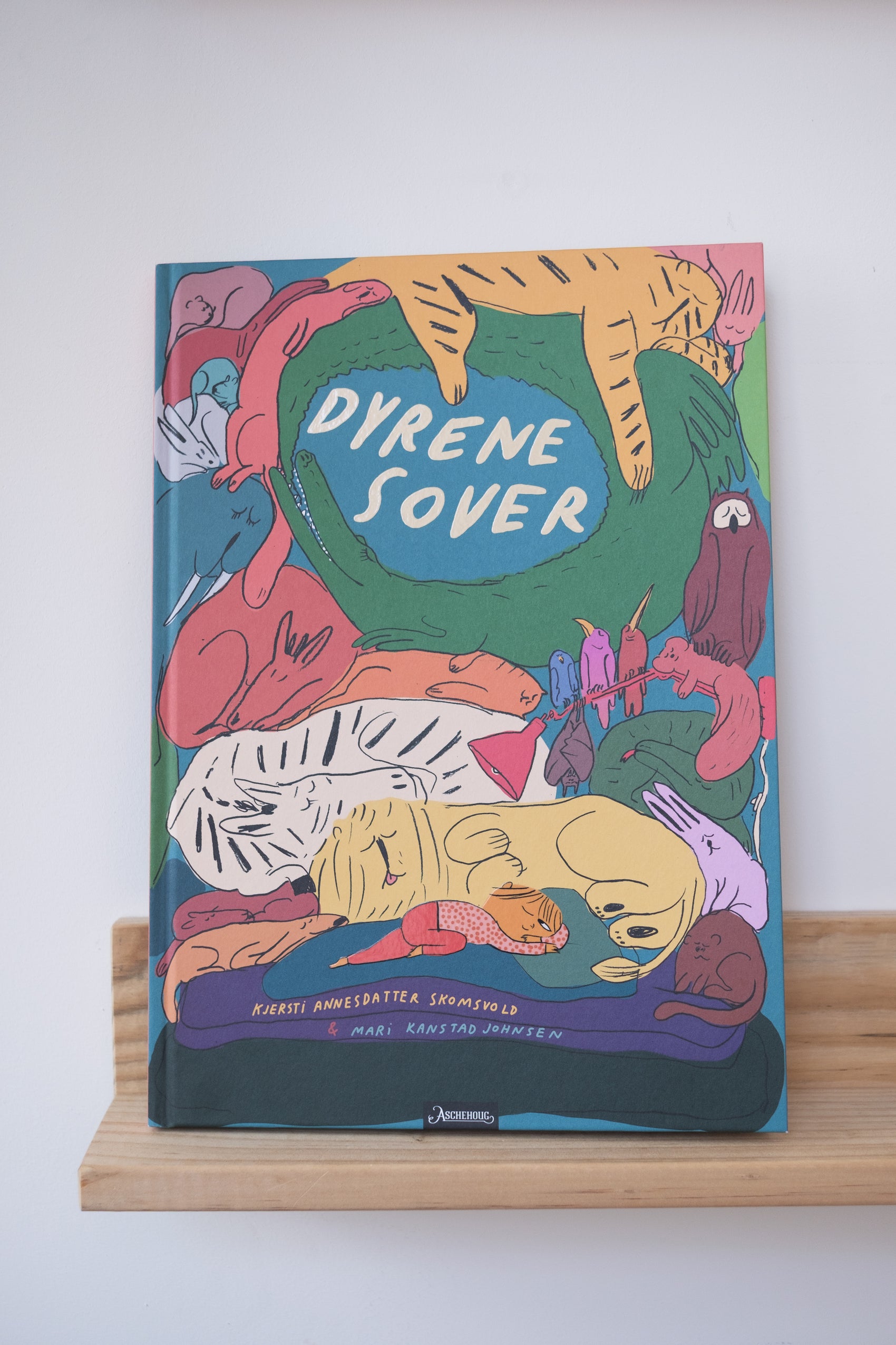 Dyrene sover - Kjersti Annesdatter Skomsvold & Mari Kanstad Johnsen