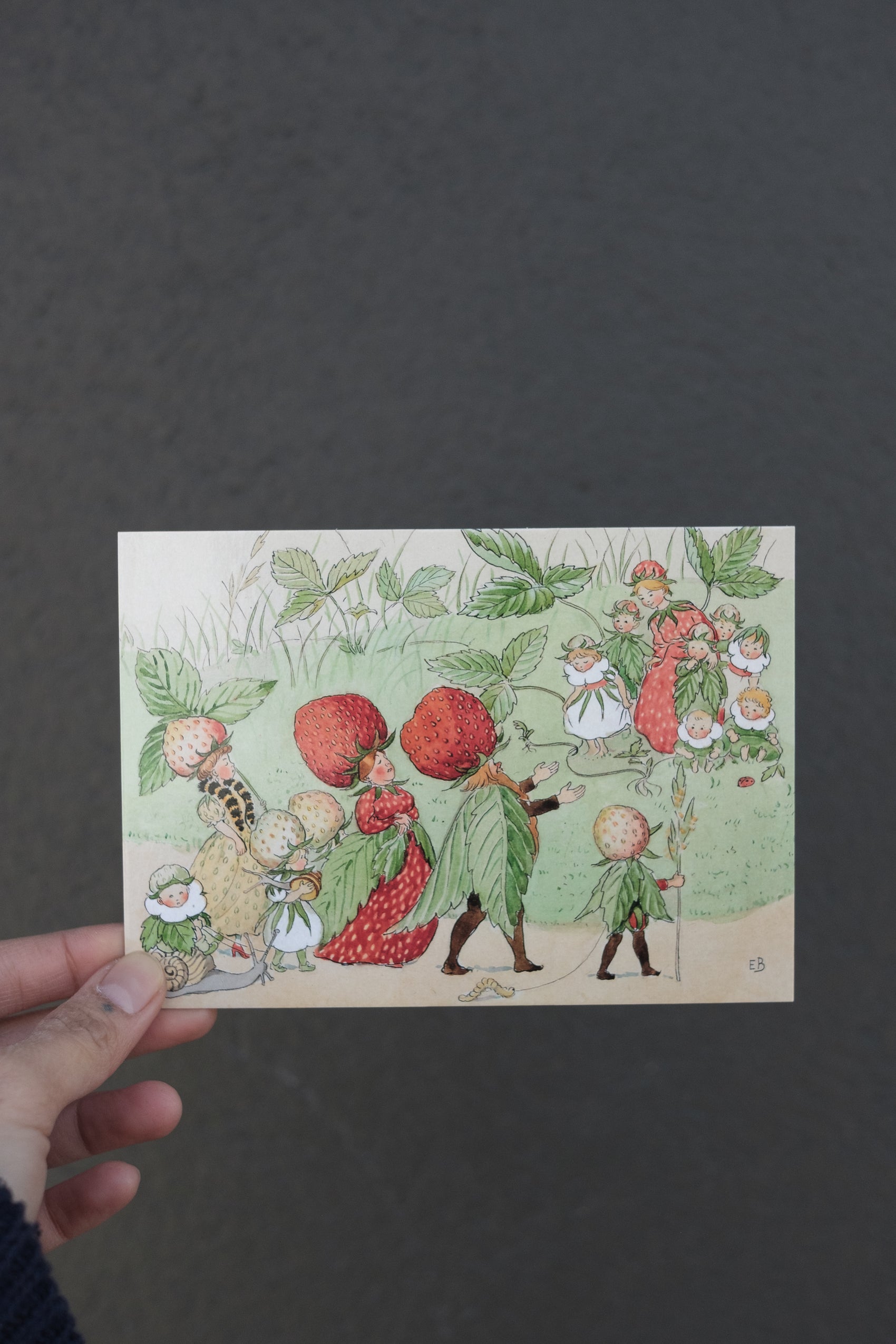 Jordbærfamilien - A6 kort