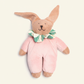 Kosebamse kanin Hanni