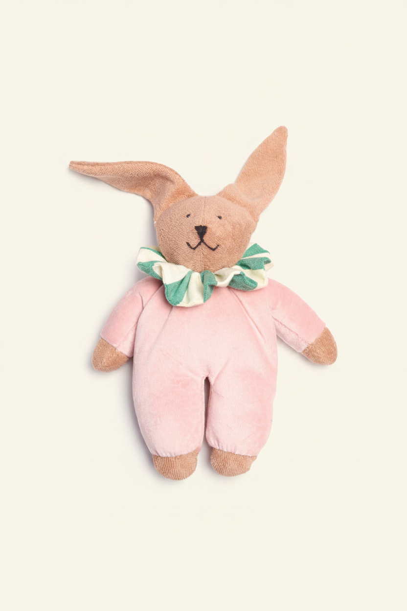 Kosebamse kanin Hanni