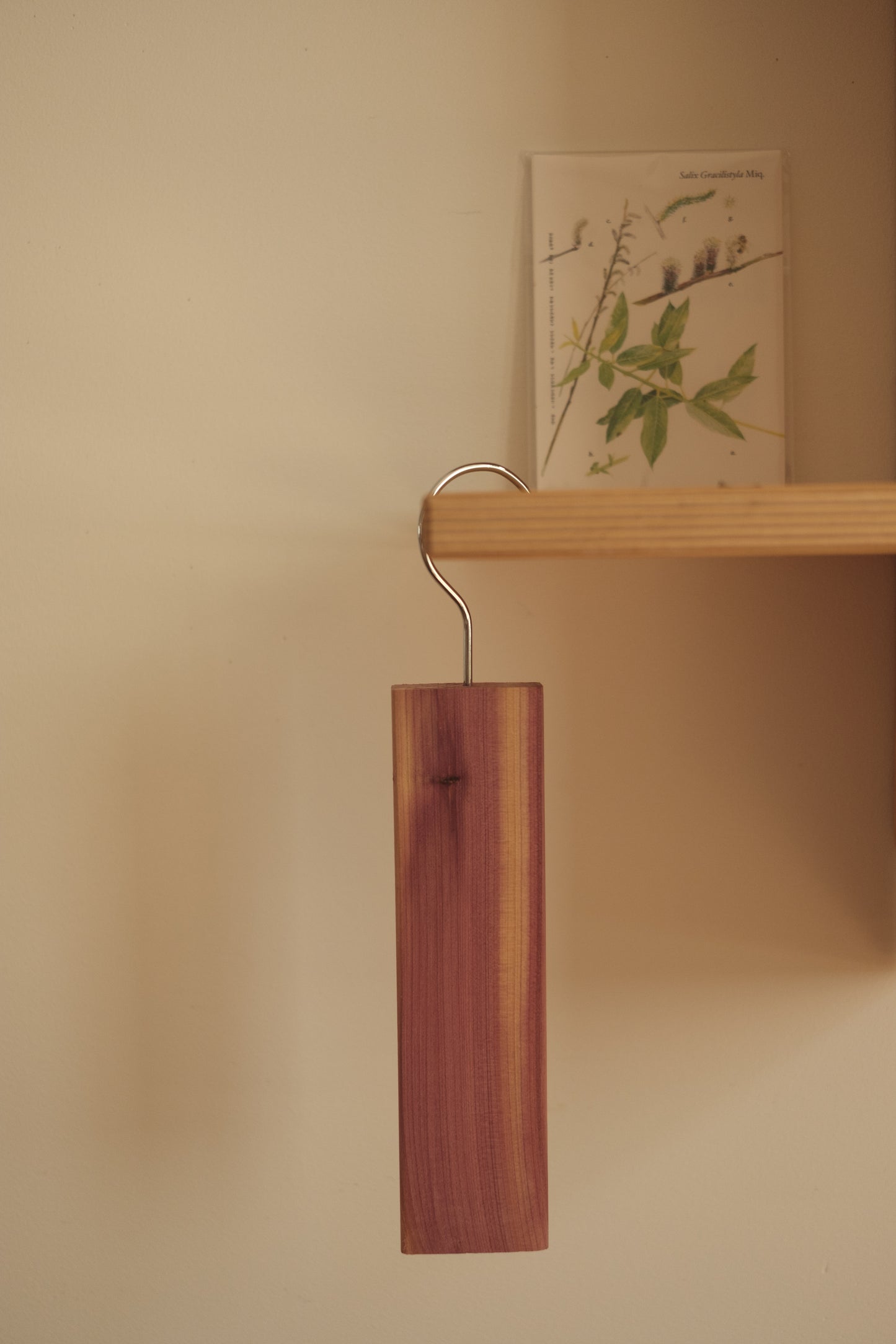 Henger i sedertre - 2 stk