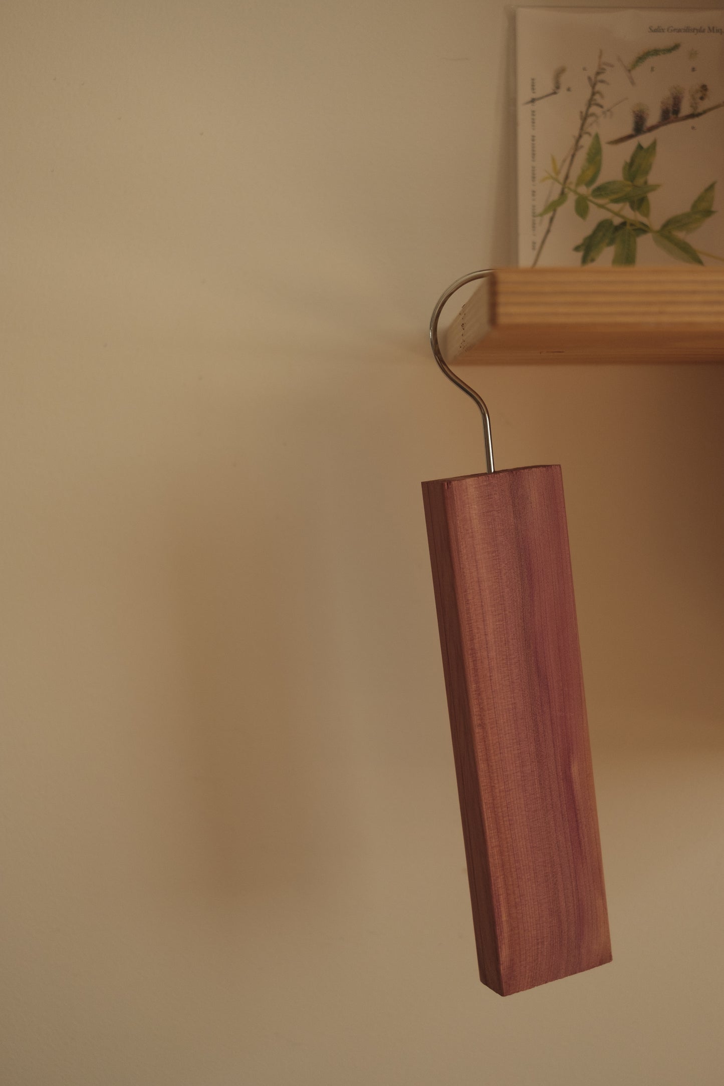 Henger i sedertre - 2 stk