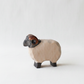 Moorland ram – studiobakgrunn