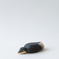 Penguin from the front – studiobakgrunn
