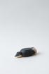 Penguin from the front – studiobakgrunn
