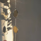 Suncatcher - 1976