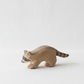 Raccoon running – studiobakgrunn