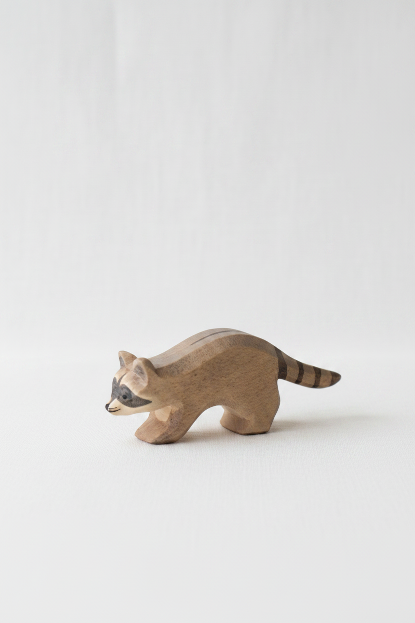 Raccoon running – studiobakgrunn