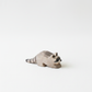 Raccoon small – studiobakgrunn