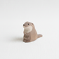 Sea otter small – studiobakgrunn