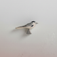 Wagtail – jevn hvit bakgrunn