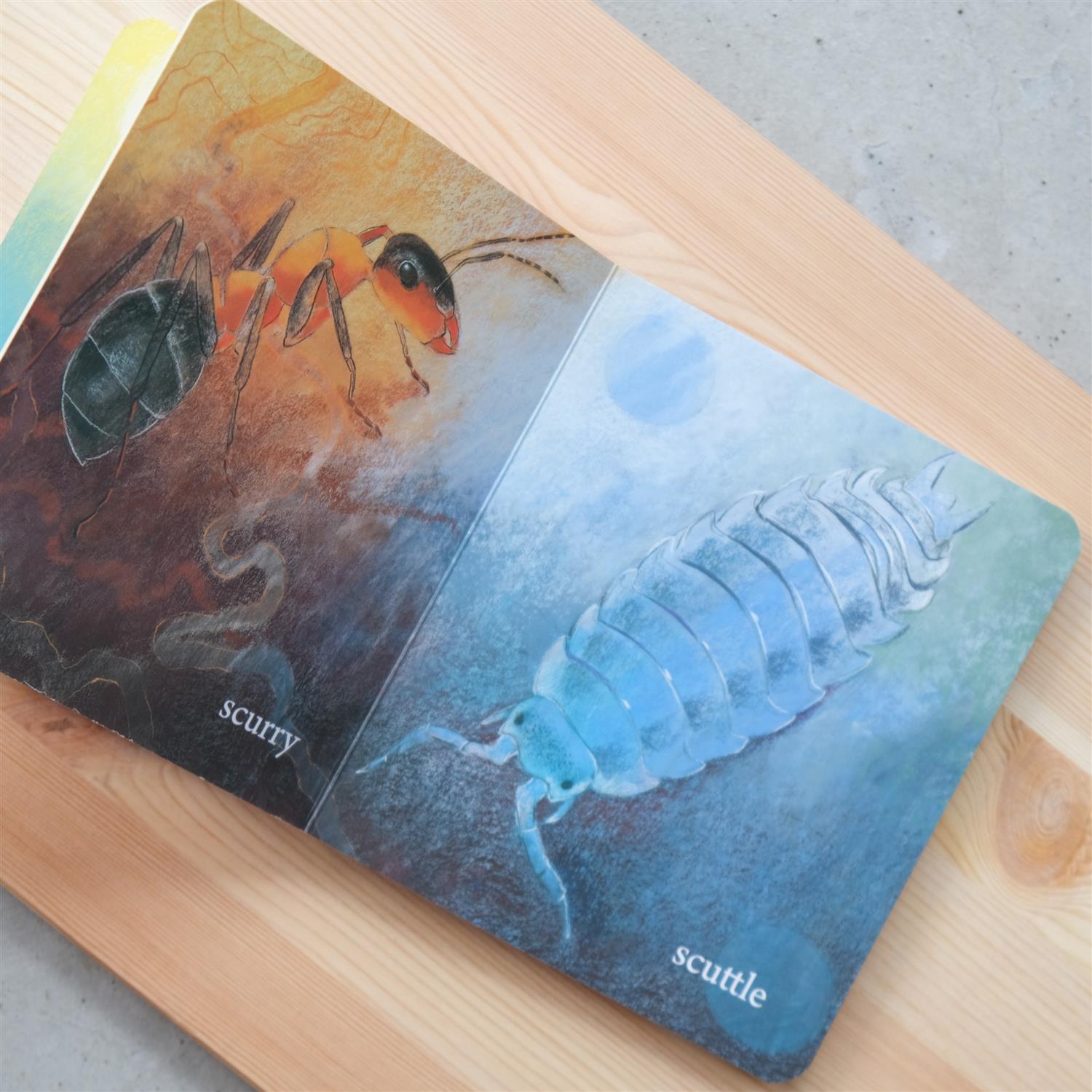 Hello bugs, what do you do? - Loes Botman