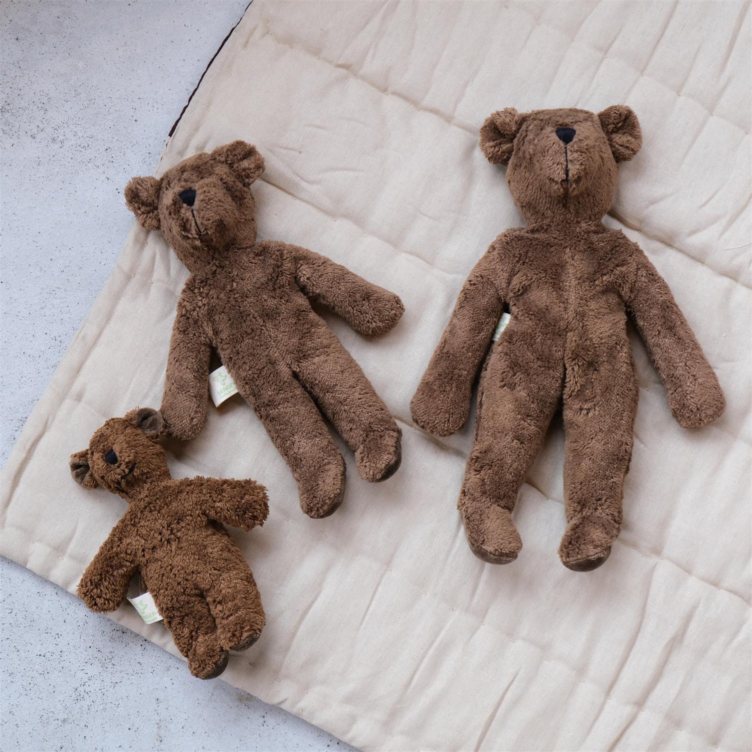 Bjørn - stor - brun