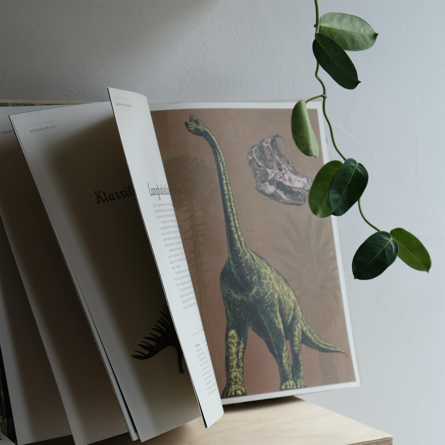 Dinosaurium – Dyr fra fortiden - Chris Wormell og Lily Murray