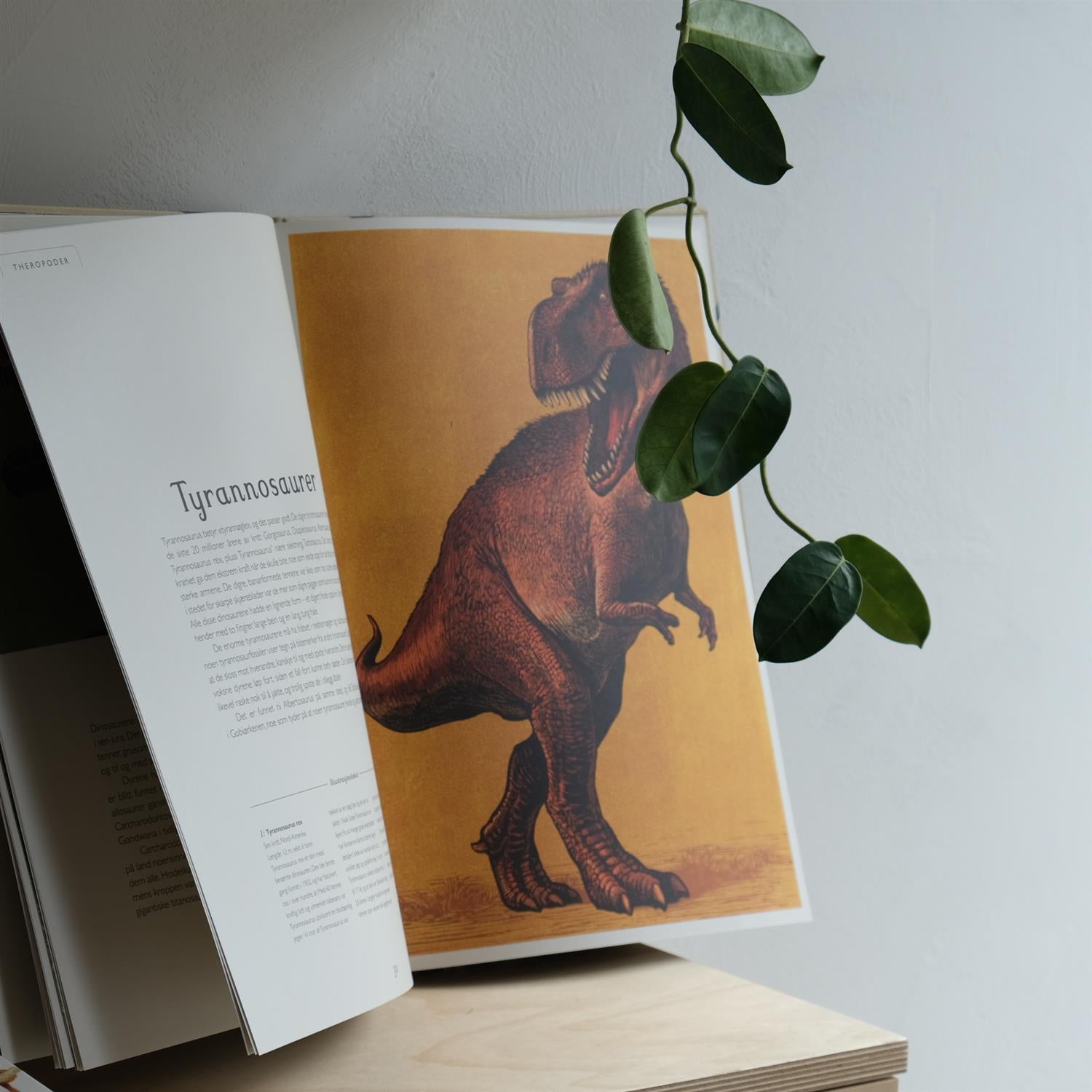 Dinosaurium – Dyr fra fortiden - Chris Wormell og Lily Murray