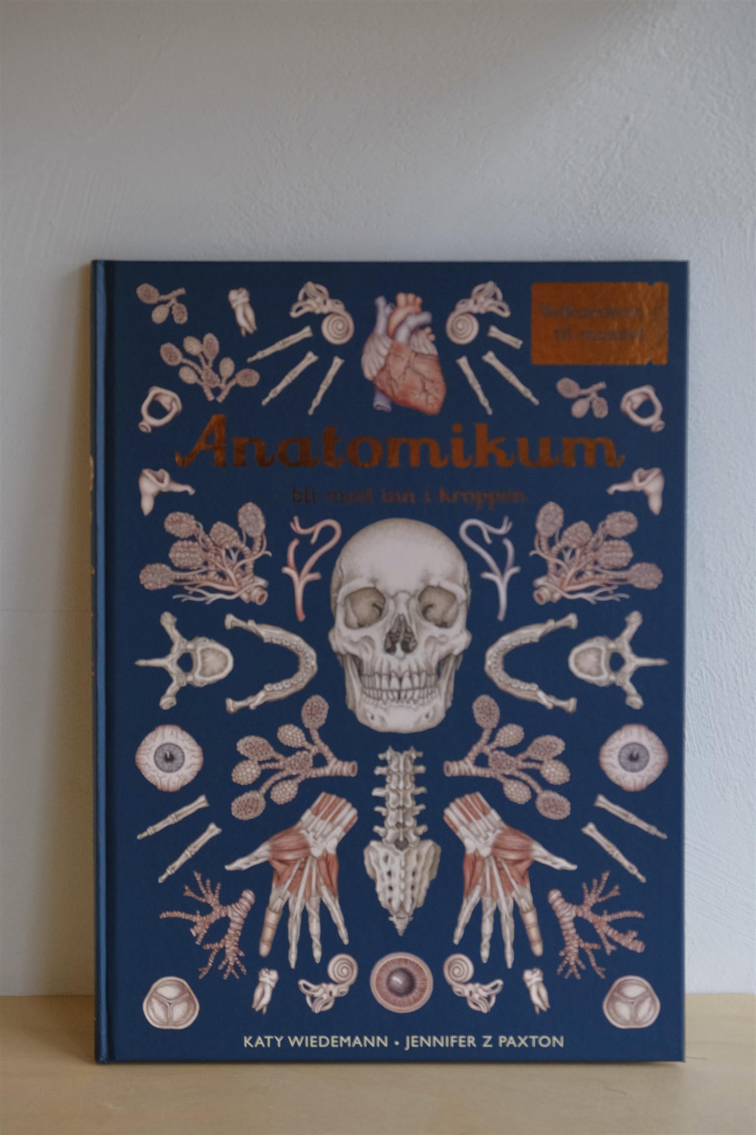 Anatomikum – bli med inn i kroppen - Jennifer Z Paxton