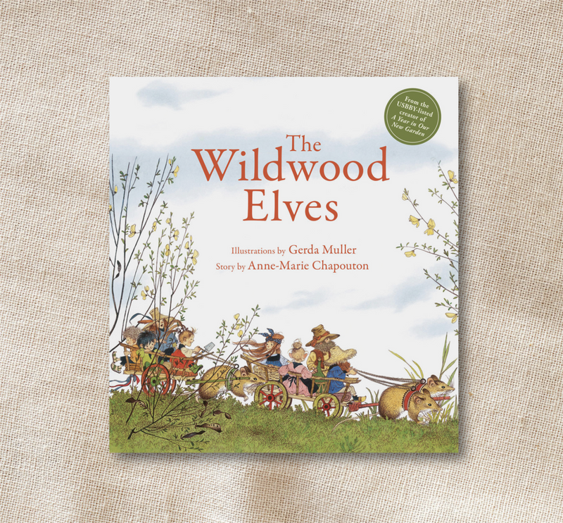 The Wildwood Elves - Anne-Marie Chapouton
