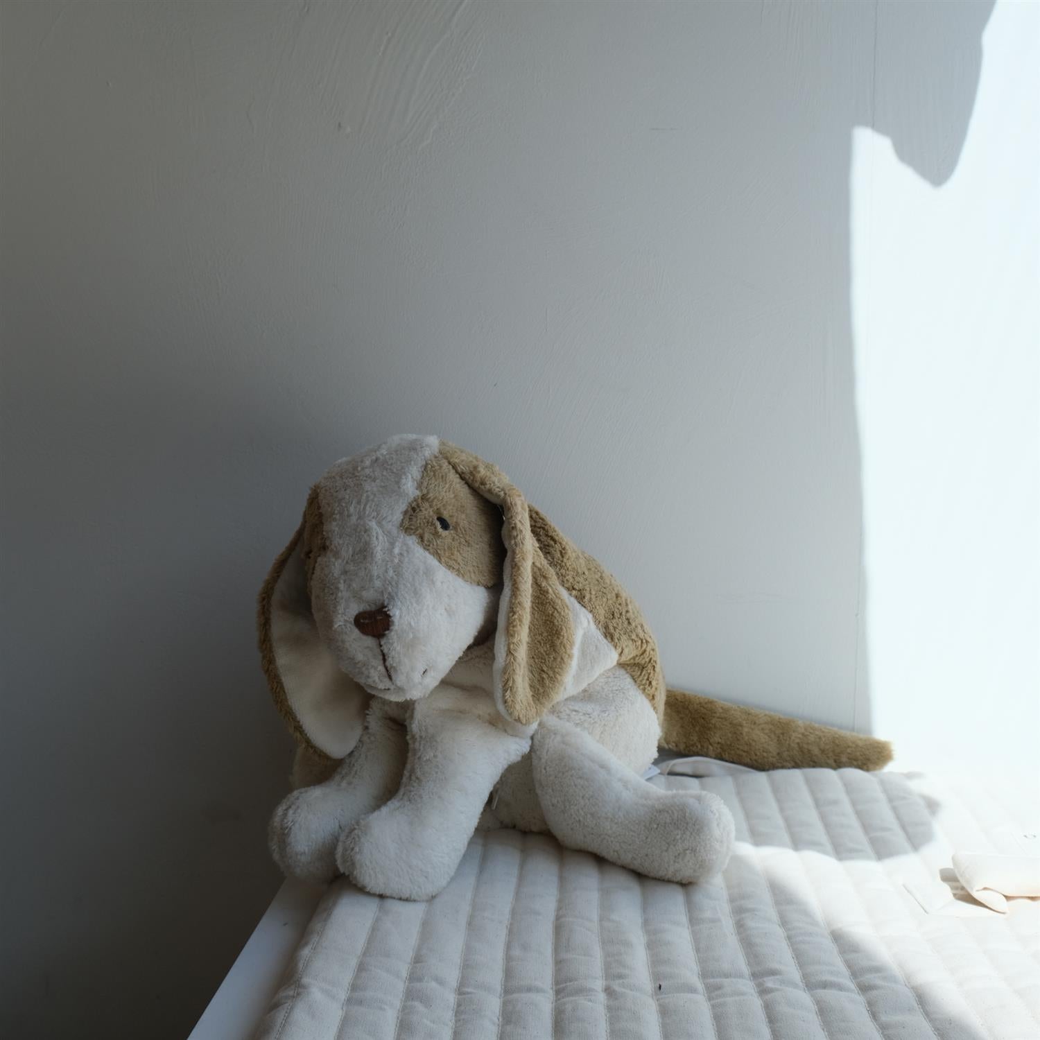 Hund med varme/kjølepute - stor