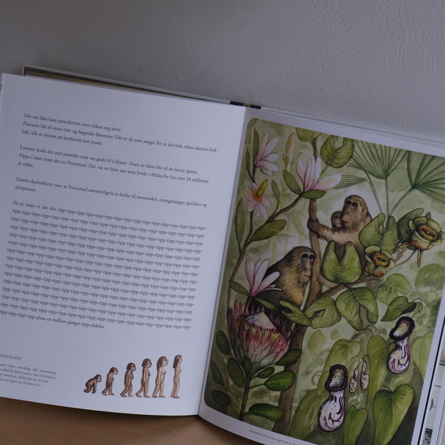 Liv: Den fantastiske historien om evolusjon - Jakob Brodersen og Pernille Engsig Eskildsen