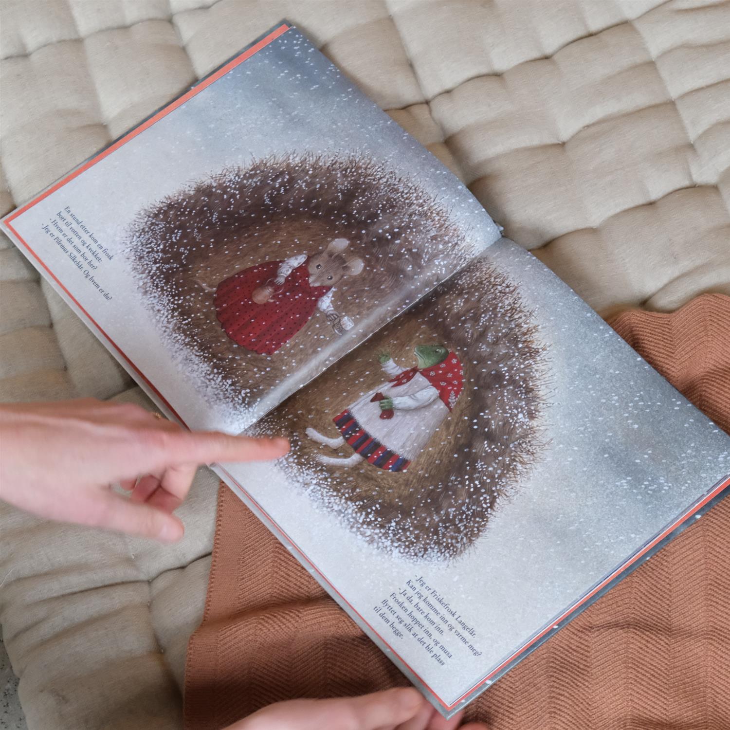 Skinnvotten - Ukrainsk folkeeventyr. Illustrert av Hana Stupica