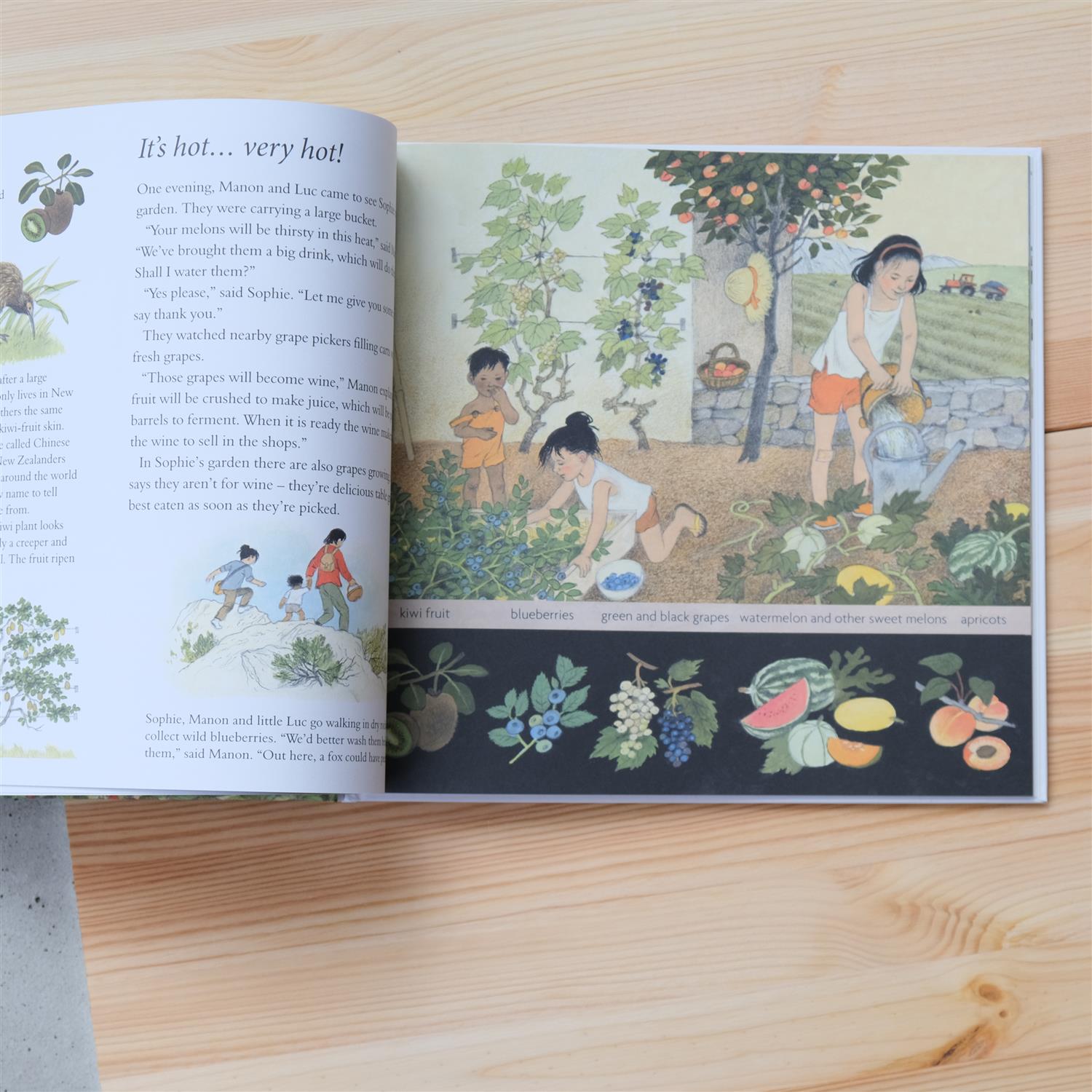 How Does My Fruit Grow? - Gerda Muller