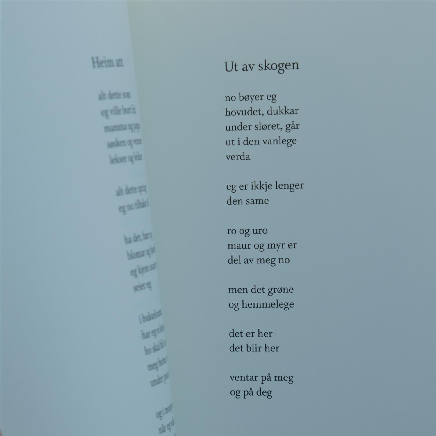 Skogen den grøne: dikt for barn - Ruth Lillegraven