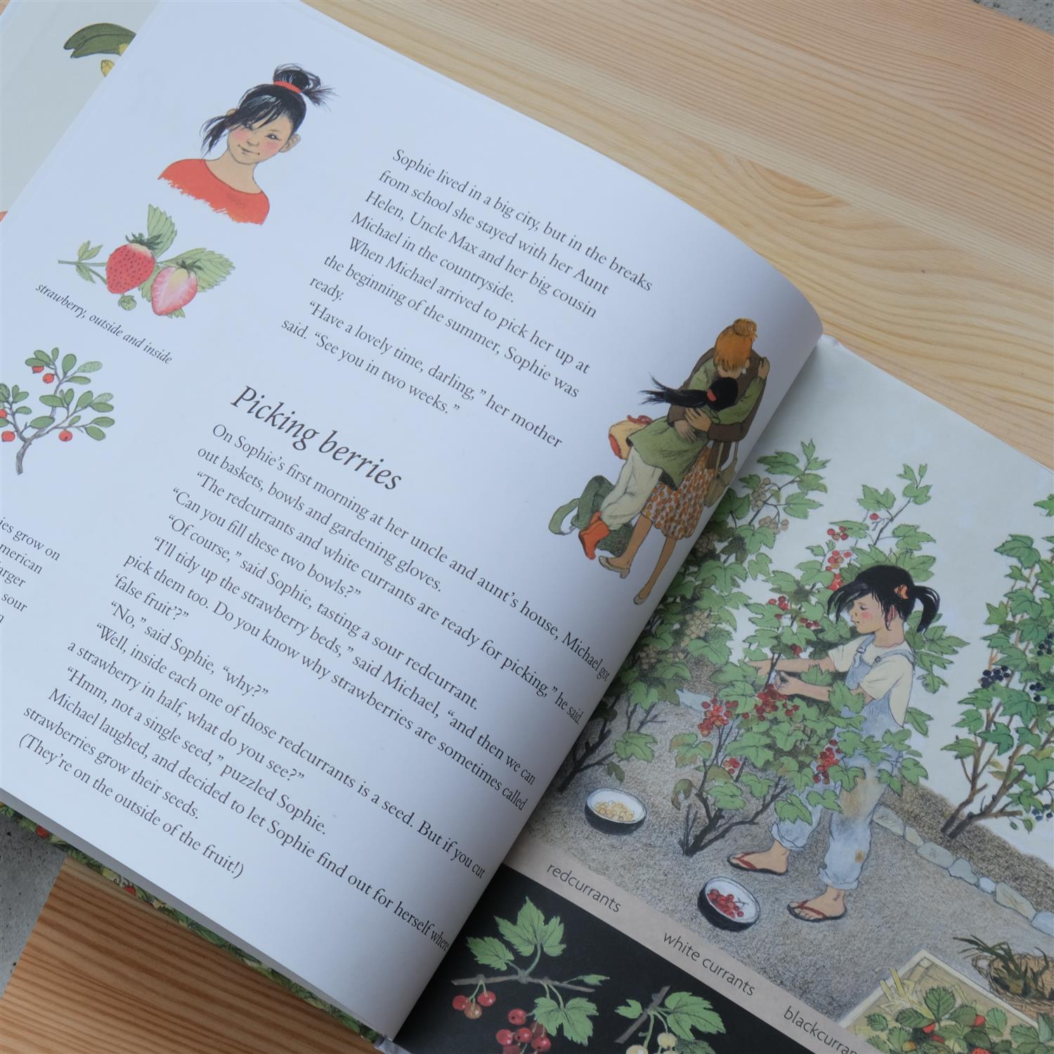 How Does My Fruit Grow? - Gerda Muller