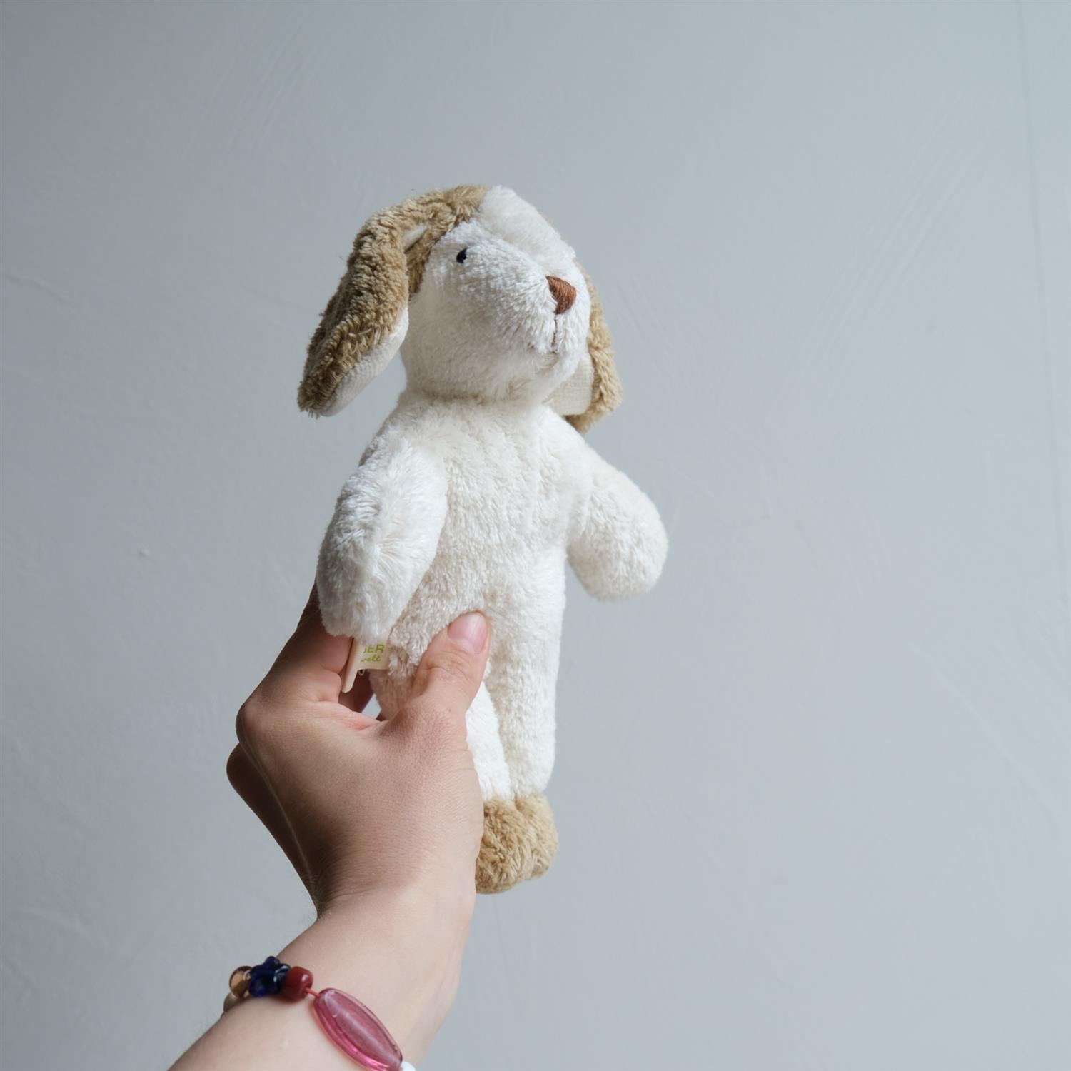 Hund - liten - lys brun