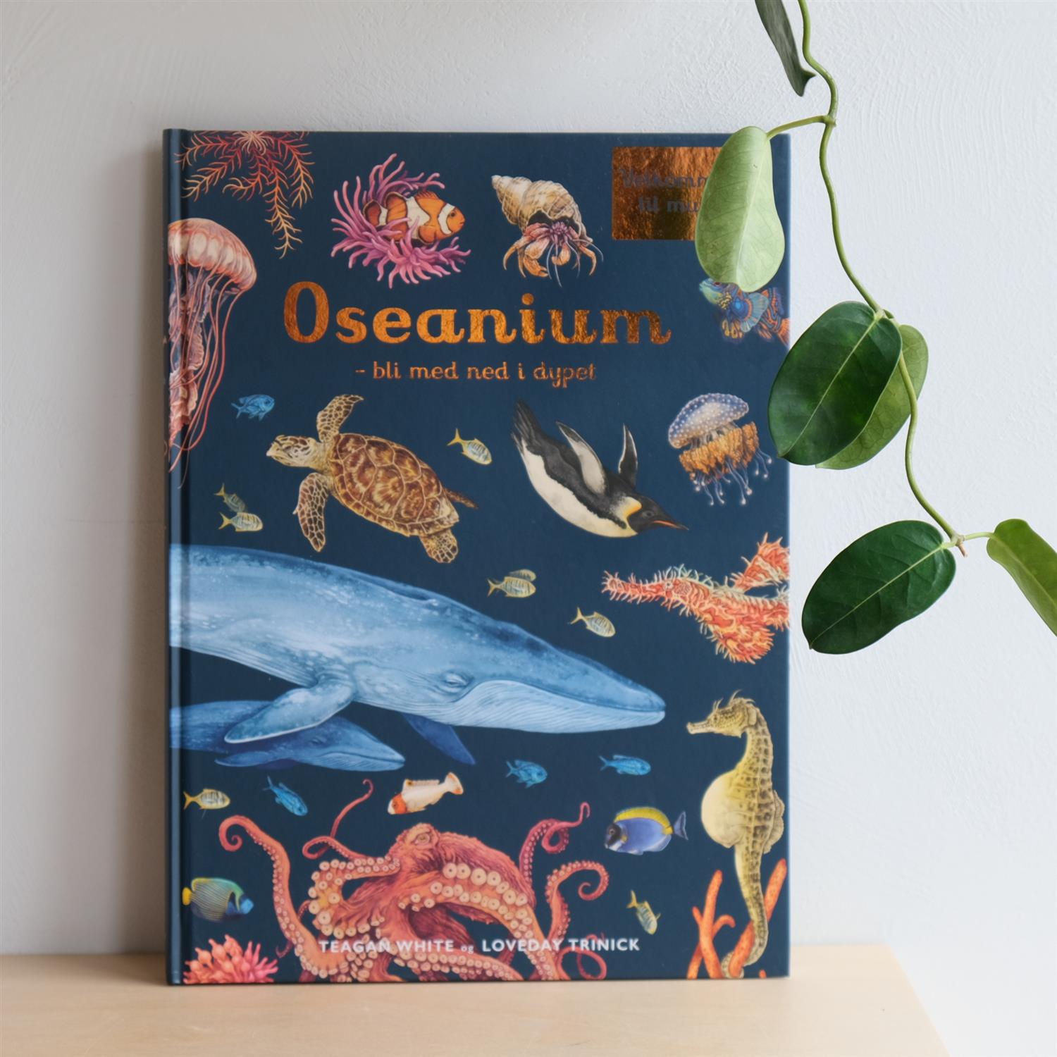 Oseanium – Bli med ned i dypet - Loveday Trinick og Teagan White