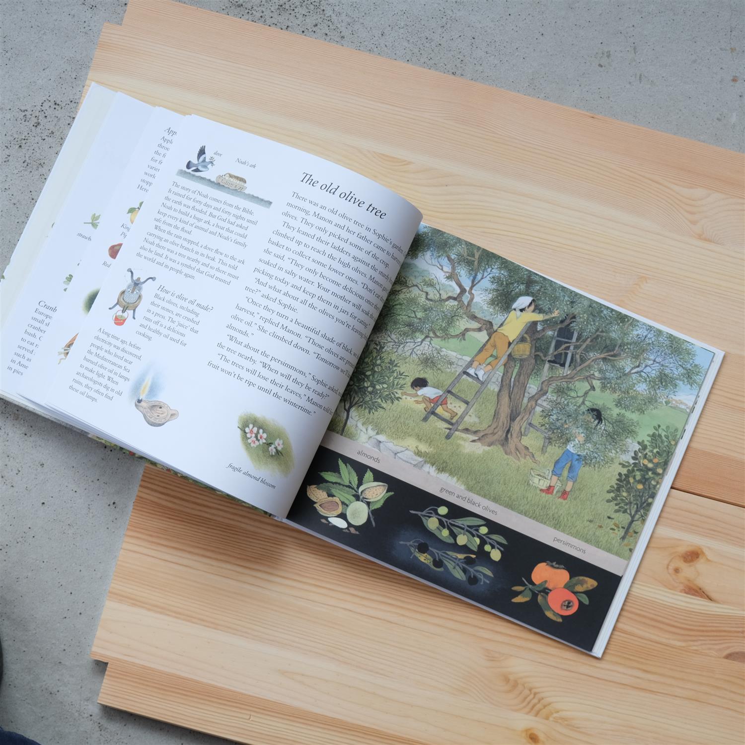 How Does My Fruit Grow? - Gerda Muller