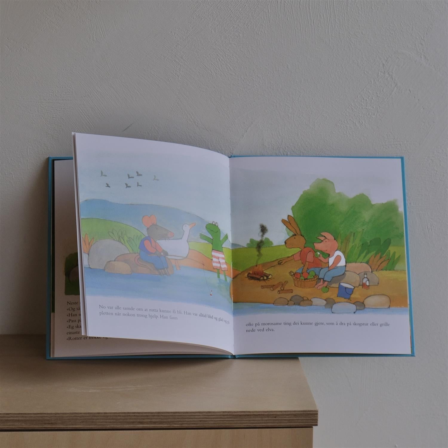 Frosken og den framande - Max Velthuijs