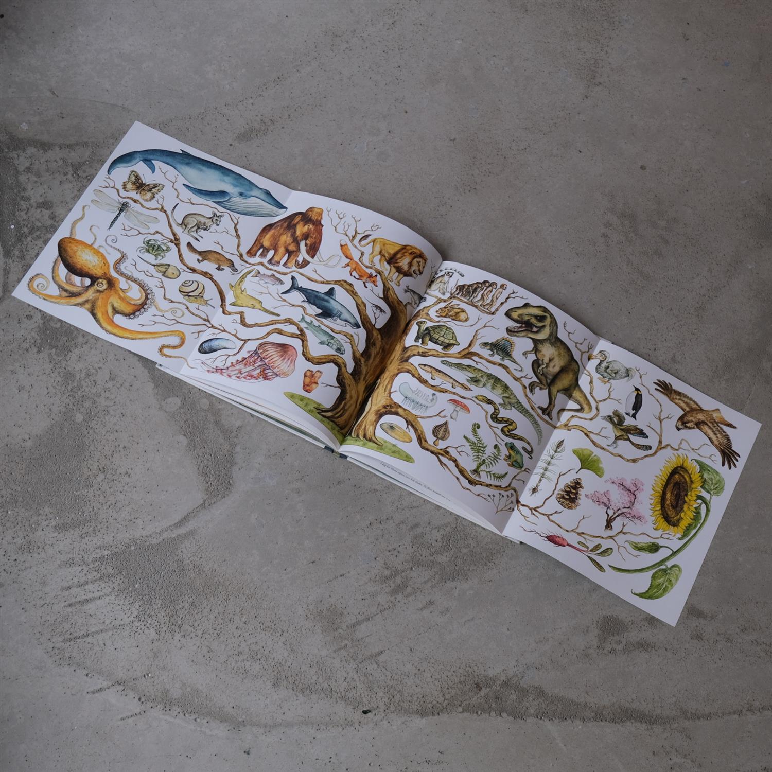 Liv: Den fantastiske historien om evolusjon - Jakob Brodersen og Pernille Engsig Eskildsen