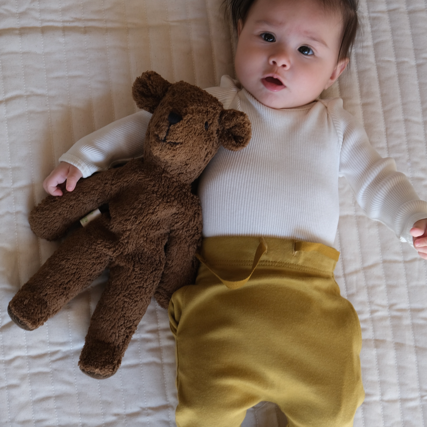 Bjørn - medium - brun