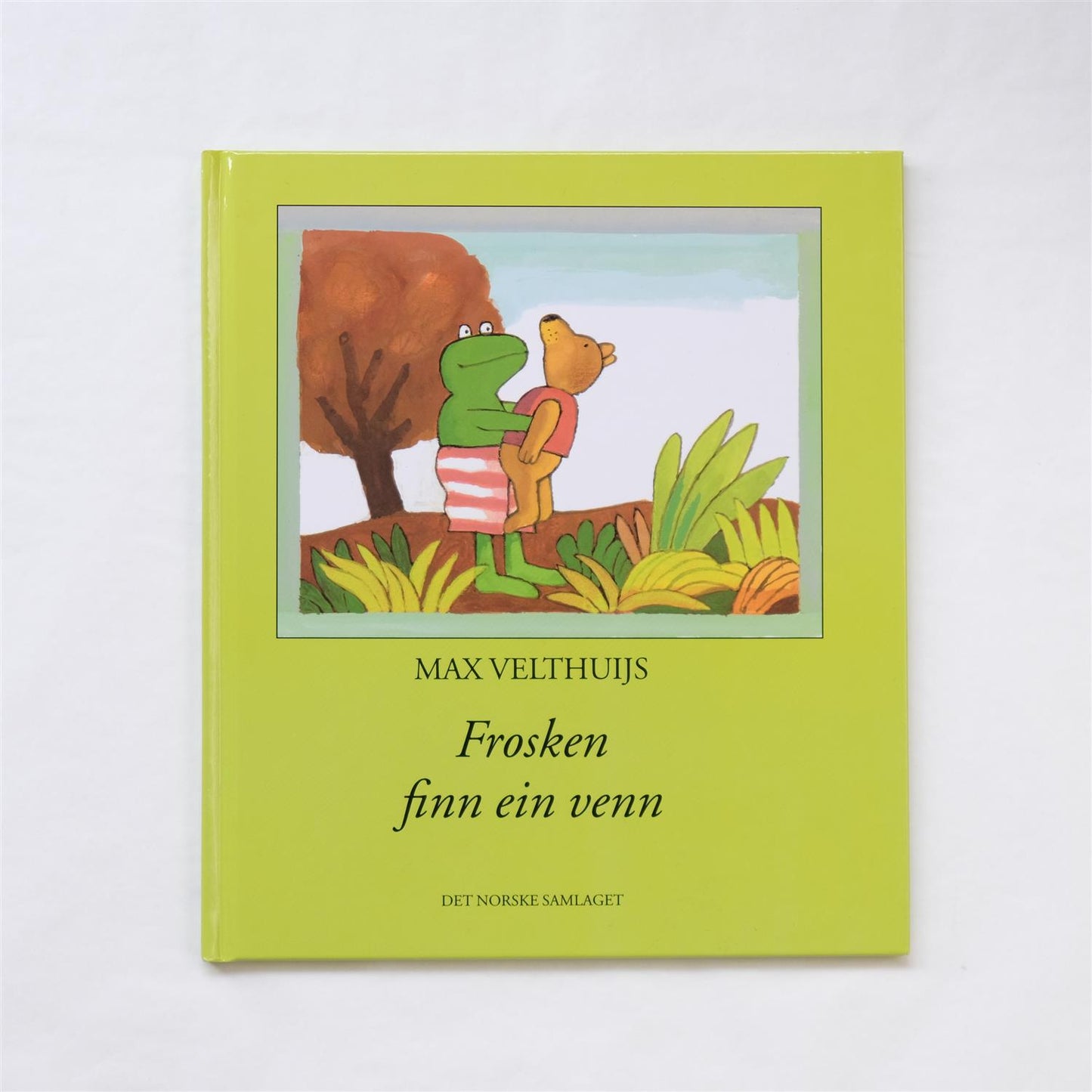 Frosken finn ein venn - Max Velthuijs
