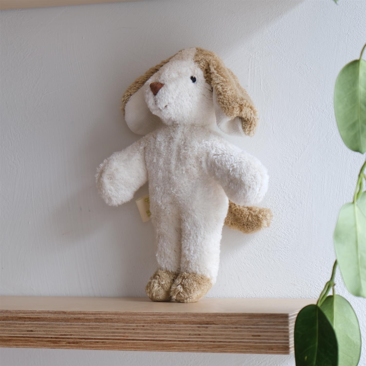 Hund - liten - lys brun