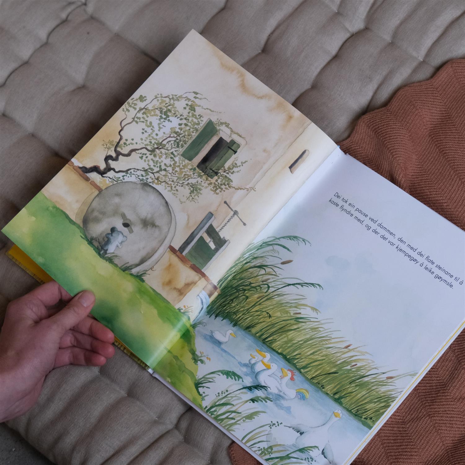 Venner - Helme Heine