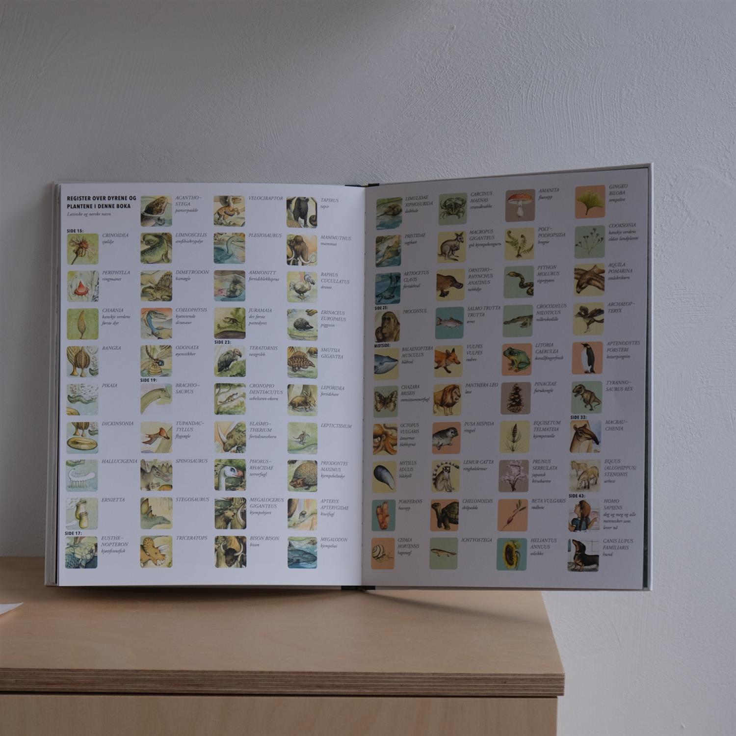 Liv: Den fantastiske historien om evolusjon - Jakob Brodersen og Pernille Engsig Eskildsen