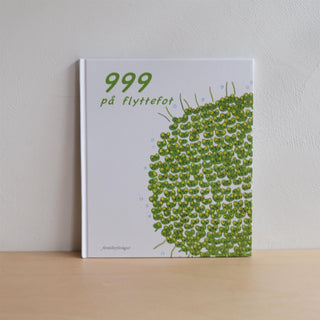 999 på flyttefot - Ken Kimura